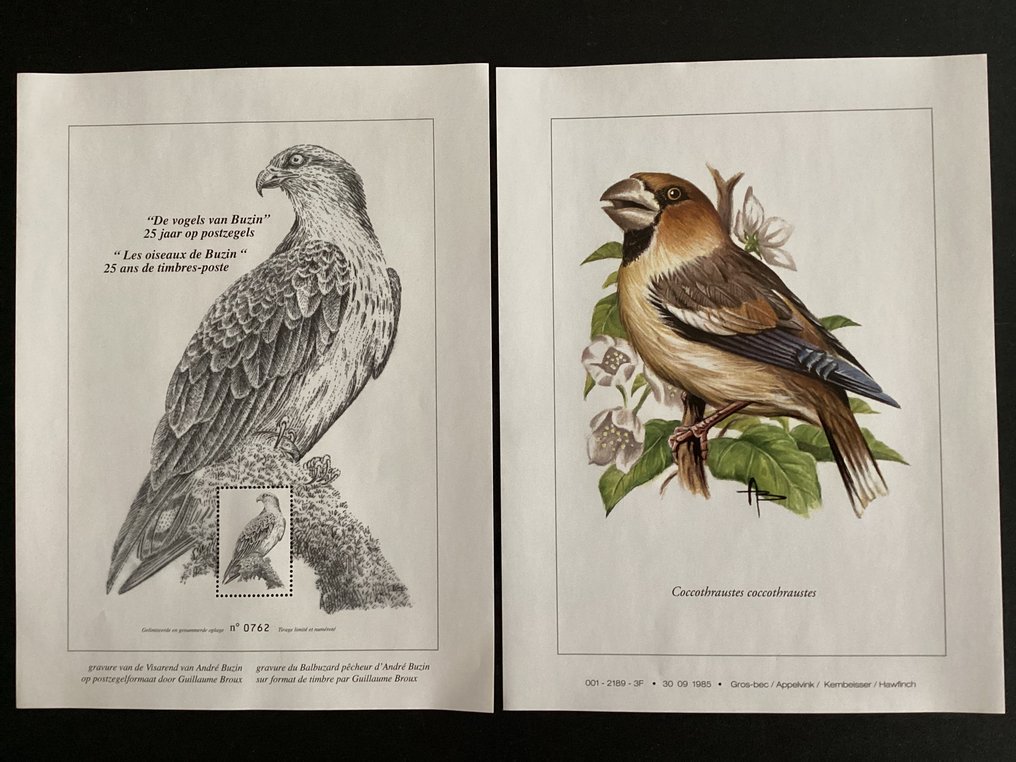 Βέλγιο - Το Buzin Box σπάνια αναφέρεται. #3.2