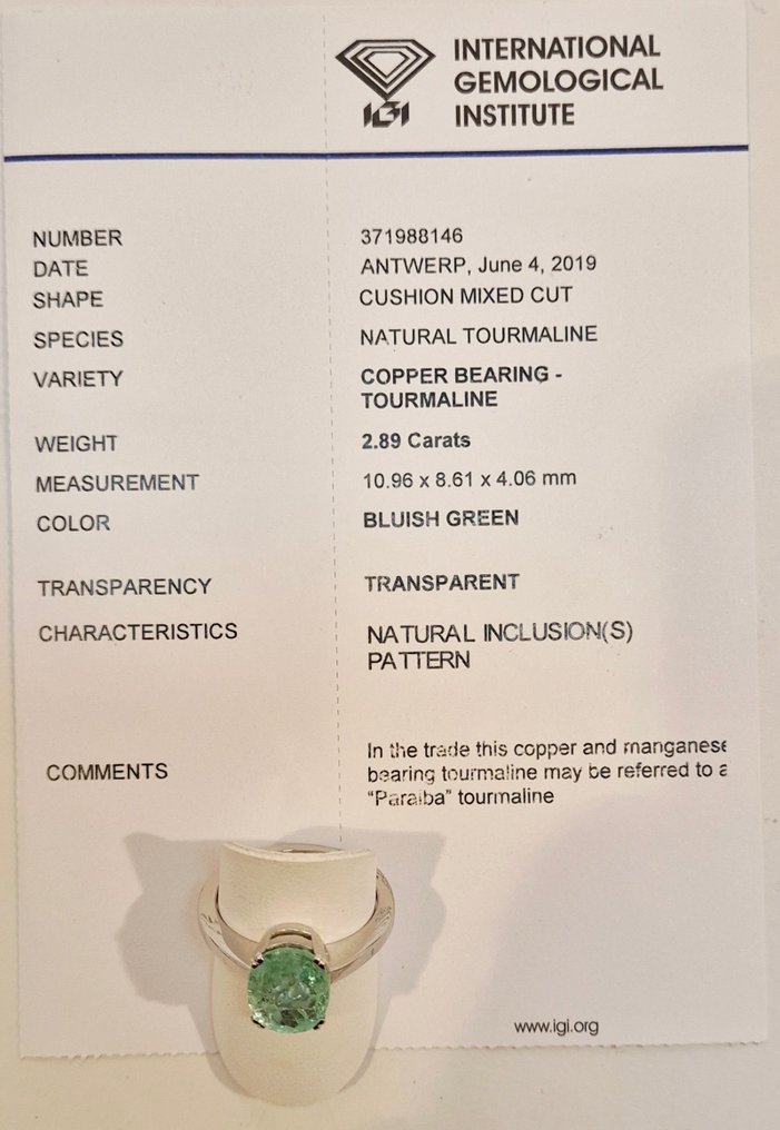 Inel - 18 ct. Aur alb Turmalină paraiba #2.1