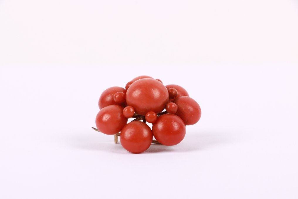 Broche - 14 carats Or jaune Corail - Sarde début du 20ème siècle #1.0
