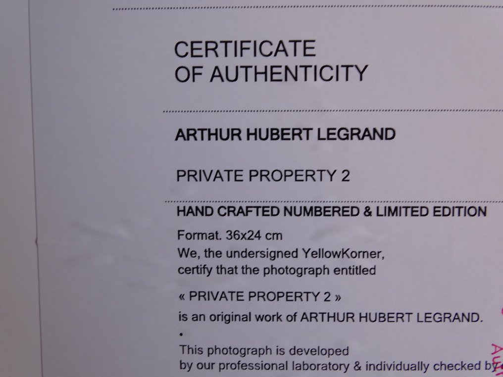 Arthur Hubert Legrand - Playboy bunny #3.2