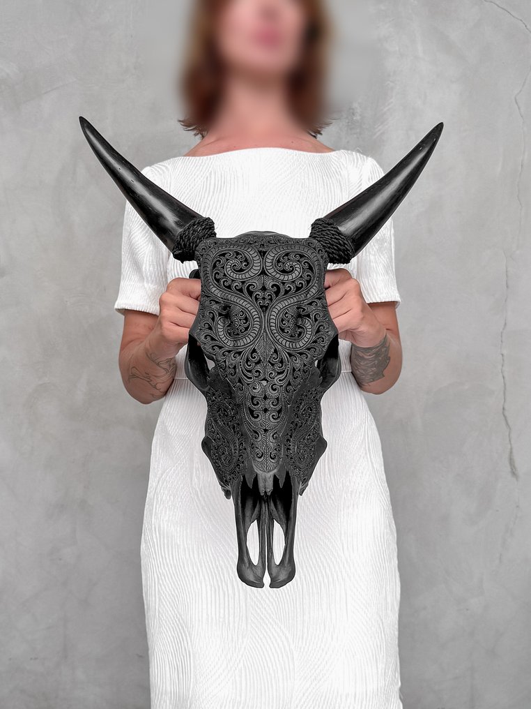 PAS DE PRIX DE RÉSERVE - Crâne de vache authentique sculpté en noir - Motif de feuille Crâne sculpté - Bos Taurus - 55 cm - 44 cm - 16 cm- Espèces non-CITES - (1) #2.1
