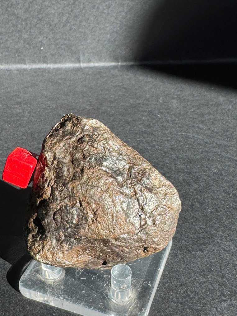 阿勒泰陨石 八面铁陨石 - 317 g - (1) #2.1