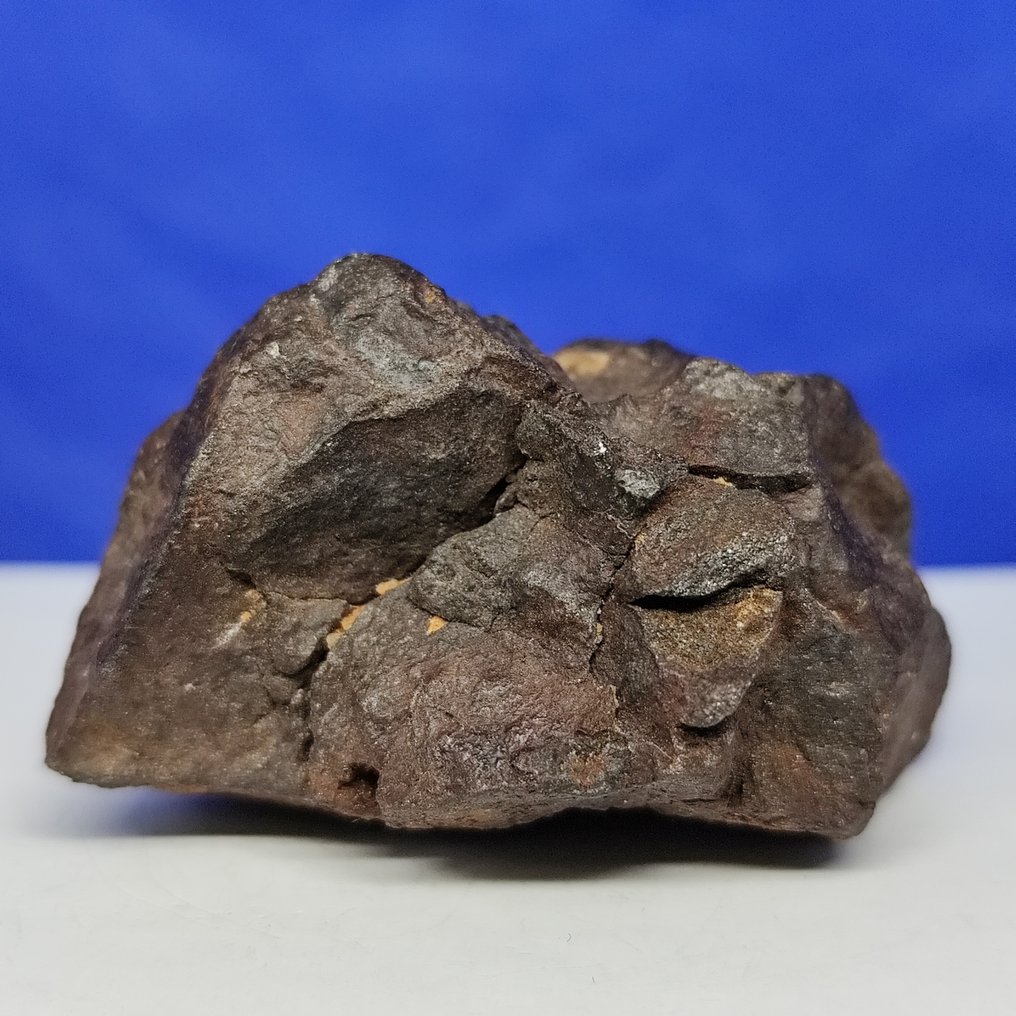 XL Primitive Achondrite Meteorite. WINONAITE. IN GHAR 001 (Algeria, 2022). - 102.1 g #3.2