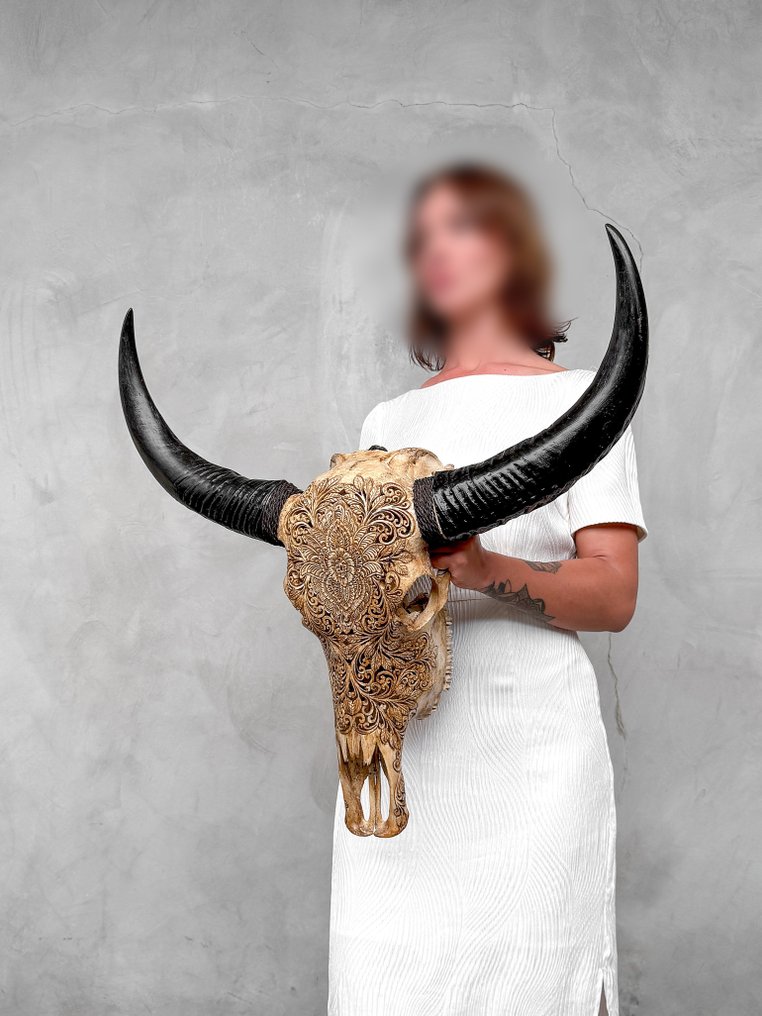 Keine Mindestpreis - C - Echtes großes braunes Wasserbüffelskelett mit Blumenmuster Geschnitzter Schädel - Bubalus Bubalis - 65 cm - 68 cm - 18 cm- Nicht-CITES-Arten -  (1) #1.0