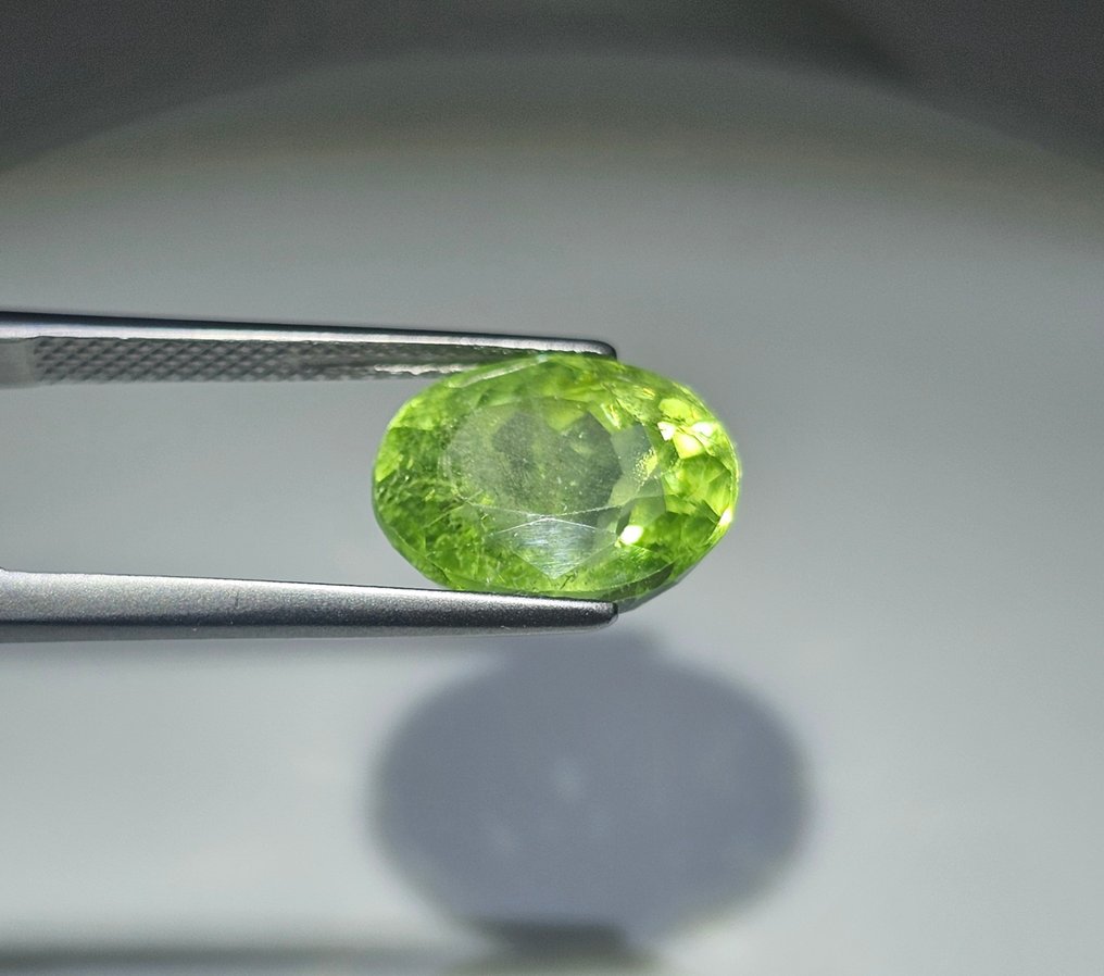 No Reserve Price - 1 pcs Yellow, Green Peridot - 7.22 ct - International Gemological Institute (IGI) #2.1