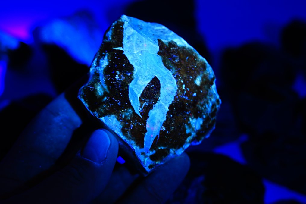 2公斤批次！橙褐色琥珀天然 - 真正的 - 古老金色火焰——23颗苏门答腊琥珀石，内含化石木包裹物- 2000 g - (23) #1.0