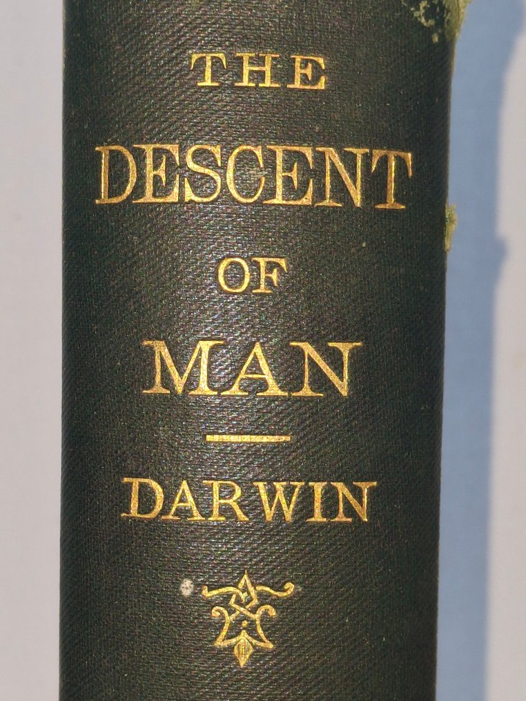 Charles Darwin - The descent of man and selection in relation to sex - 1890 #1.0