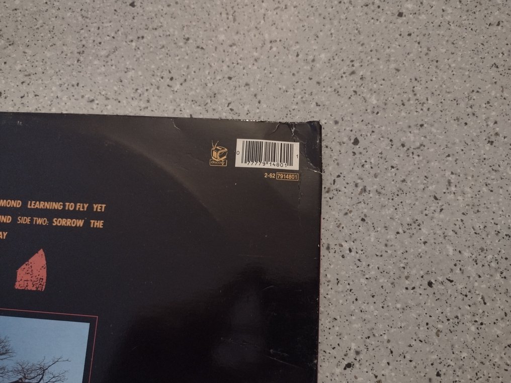 Pink Floyd - Delicate sound of thunder - Vinyl record - 1st Pressing - 1988 #2.1