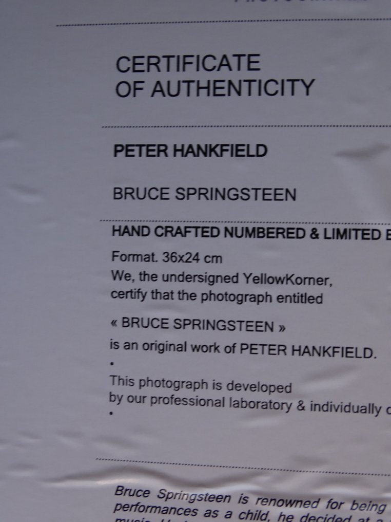 Peter Hankfield - The Boss - Bruce Springsteen #3.2