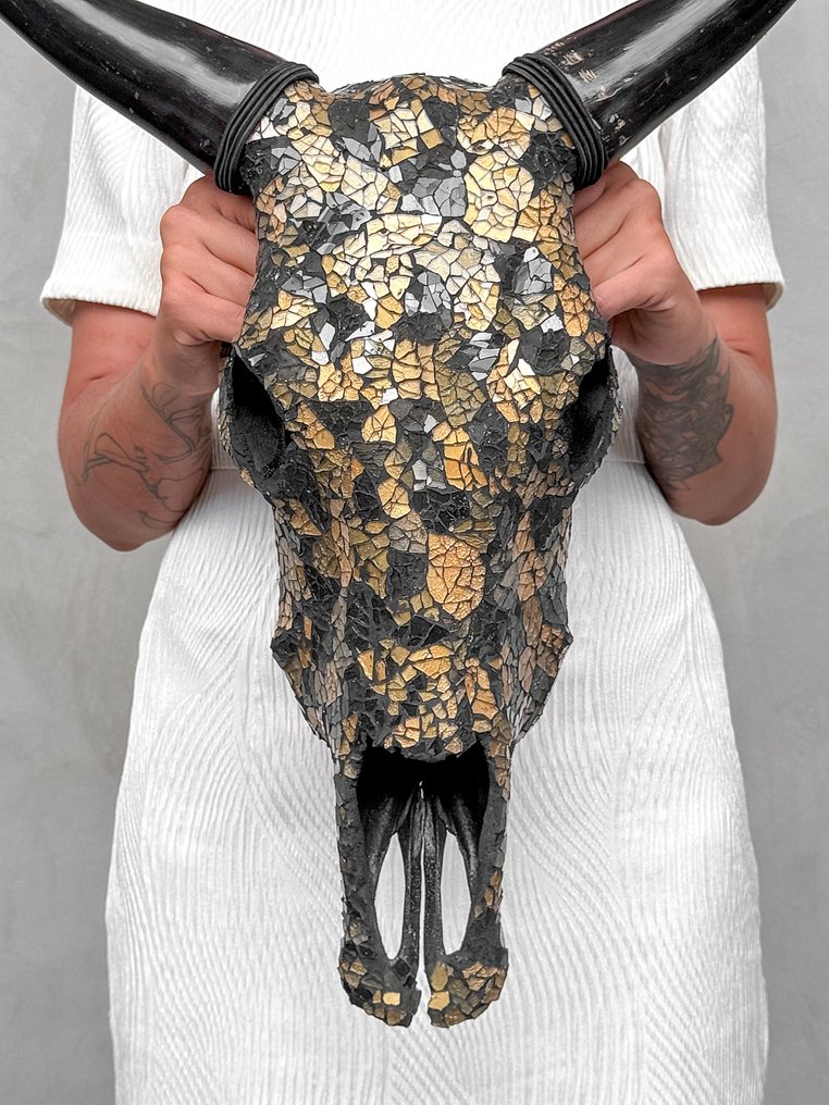 Sem preço de reserva - Toca de vaca deslumbrante com incrustação de mosaico de vidro - Ouro Preto Crânio - Bos Taurus - 55 cm - 46 cm - 20 cm- Espéciesnão-CITES - (1) #1.0