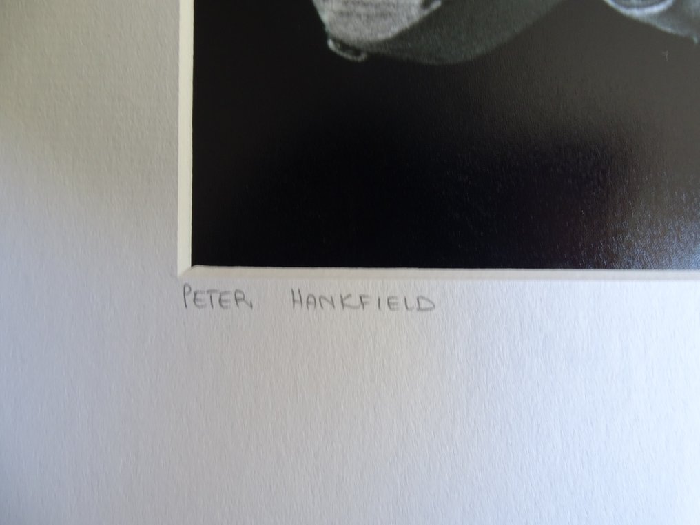 Peter Hankfield - The Boss - Bruce Springsteen #2.1