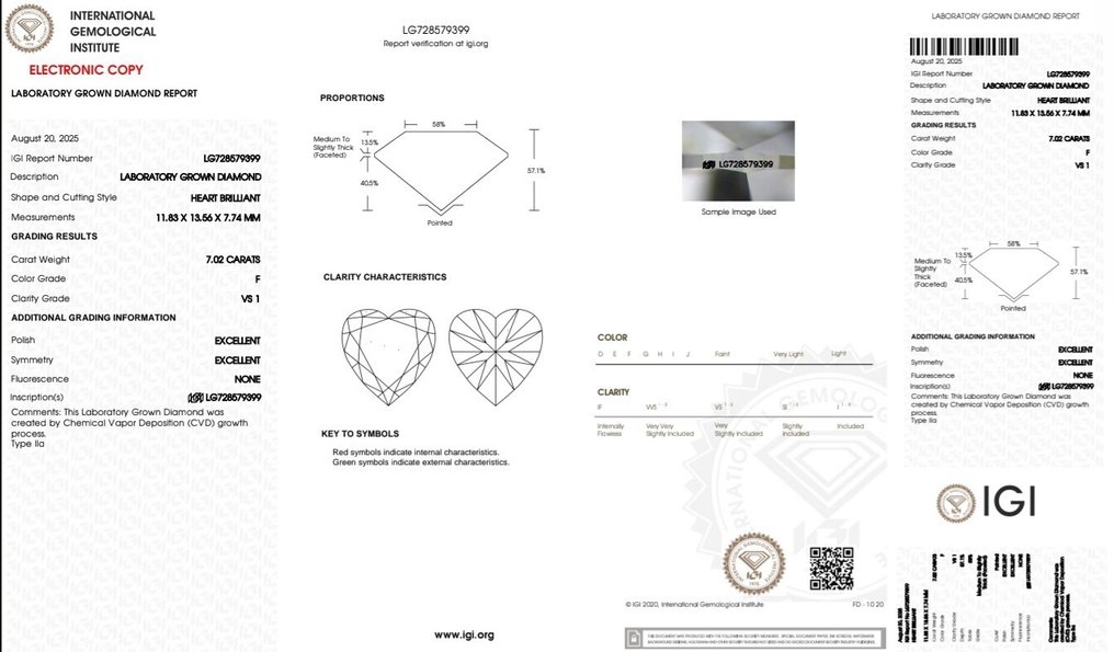Ring - 18 kt. White gold -  7.63ct. tw. Diamond (Lab-grown) - Diamond #2.1