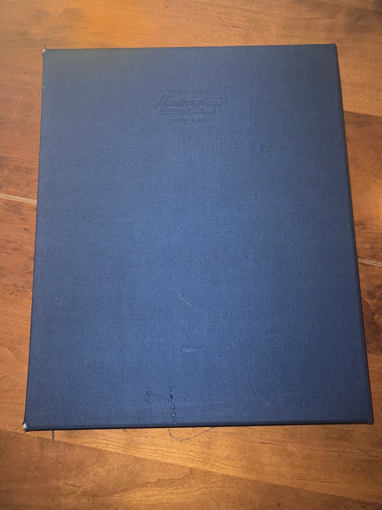 Jürgen Lewandowski - Lamborghini Diablo - 1990 #2.1