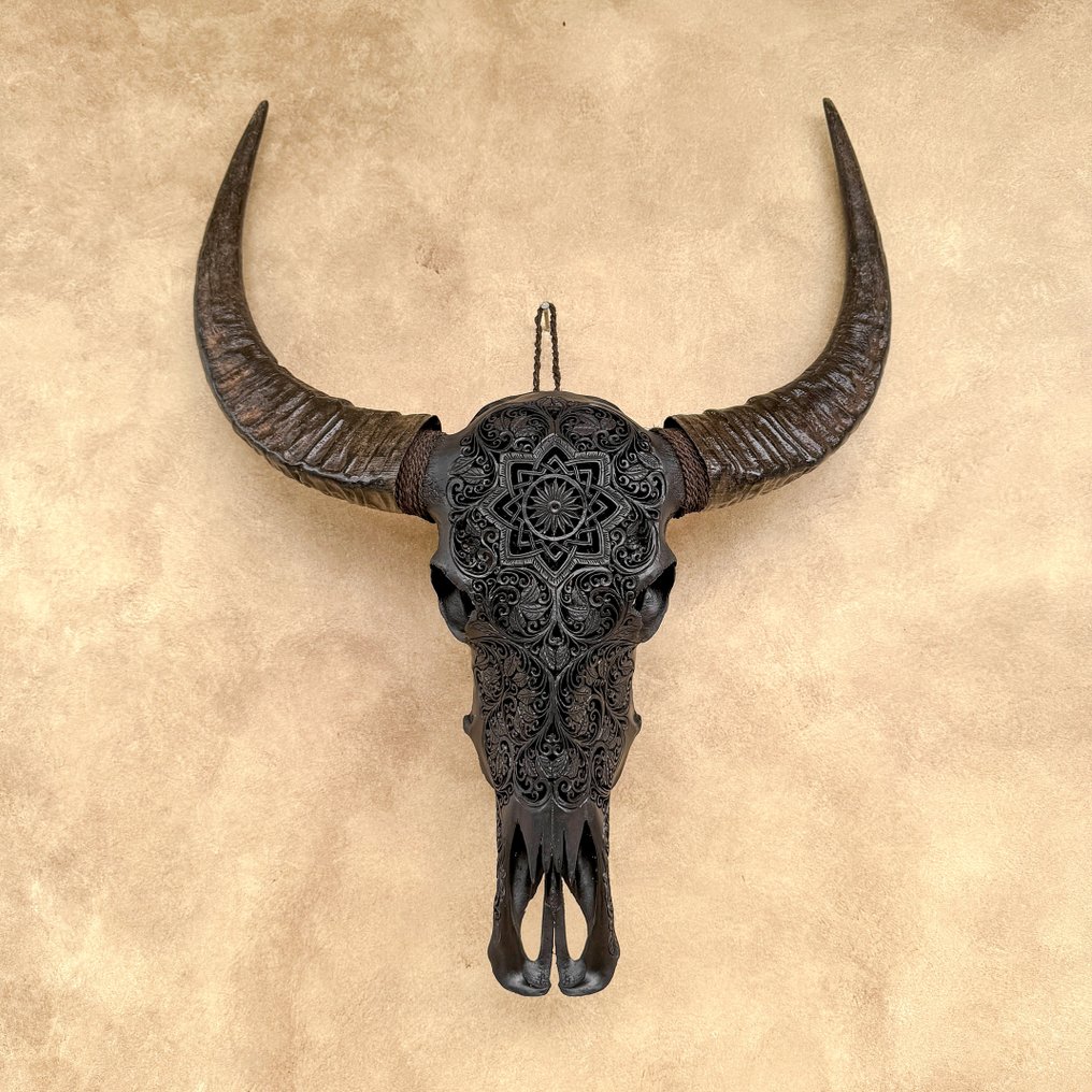 无底价 - C - 令人惊叹的大型黑色雕刻水牛头骨 - 星辰曼陀罗图案 雕刻頭骨 - Bubalus Bubalis - 91 cm - 71 cm - 20 cm- 非《瀕臨絕種野生動植物國際貿易公約》物種 -  (1) #2.1