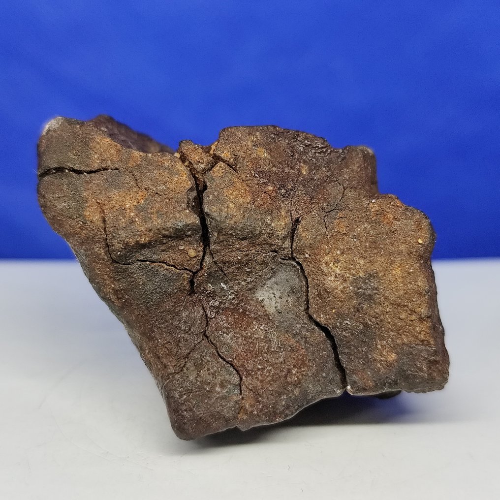 XL Primitive Achondrite Meteorite. WINONAITE. IN GHAR 001 (Algeria, 2022). - 102.1 g #4.3