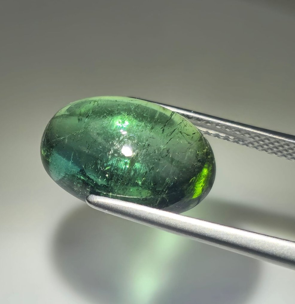 Zonder minimumprijs - 1 pcs  Groen Toermalijn  - 8,22 ct - International Gemological Institute (IGI) - Verdelite #1.0