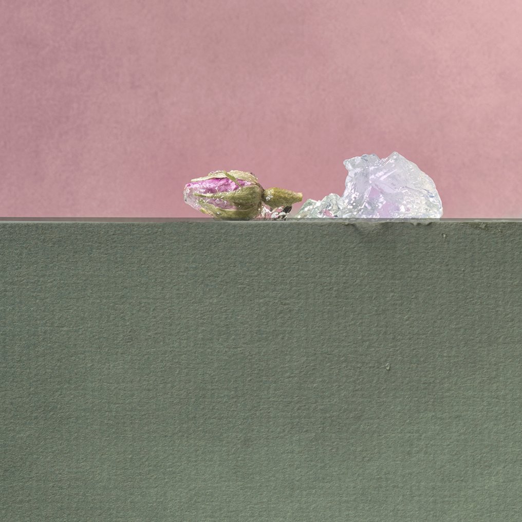 Ursula van de Bunte - Scent of Roses #1.0