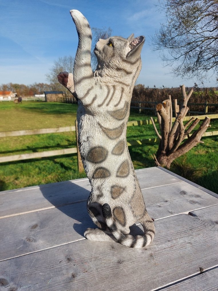 Statue, garden statue 50 cm high scratching cat - 50 cm - polyresin #1.0