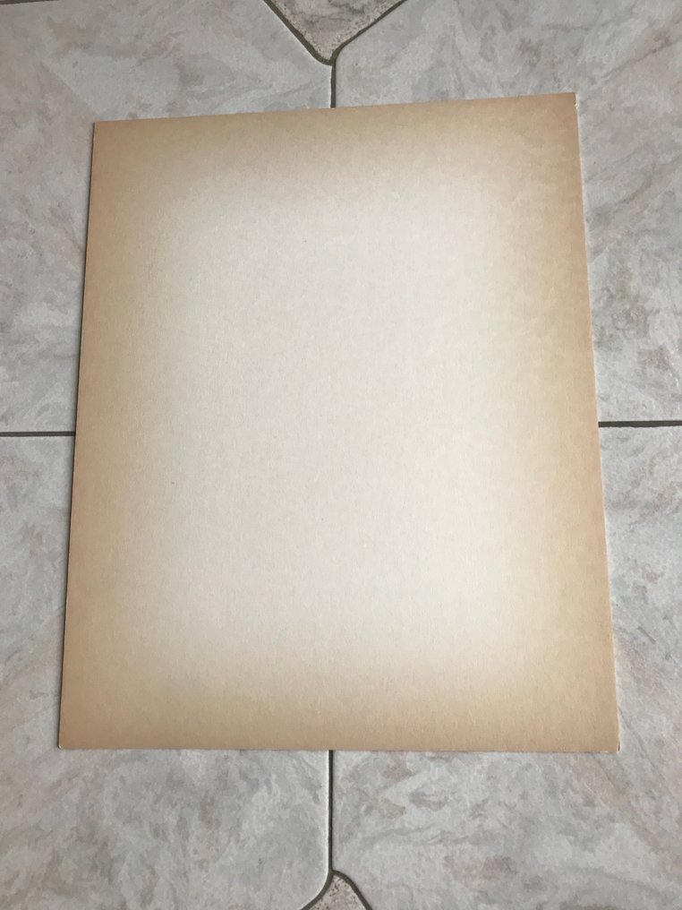 Tintin - 1 彩色印刷版 + 黑色胶片线条 - Casterman - 丁丁在刚果 - 1980 #4.3