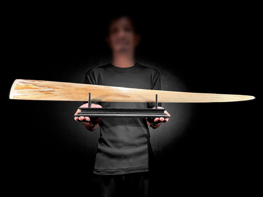 NO RESERVE PRICE - Stunning Extra Large, patinated hand carved Swordfish bill - Dragon Phoenix Rostrum - Xiphias Gladius - 15 cm - 92 cm - 6 cm- Non-CITES species - (1) #4.3