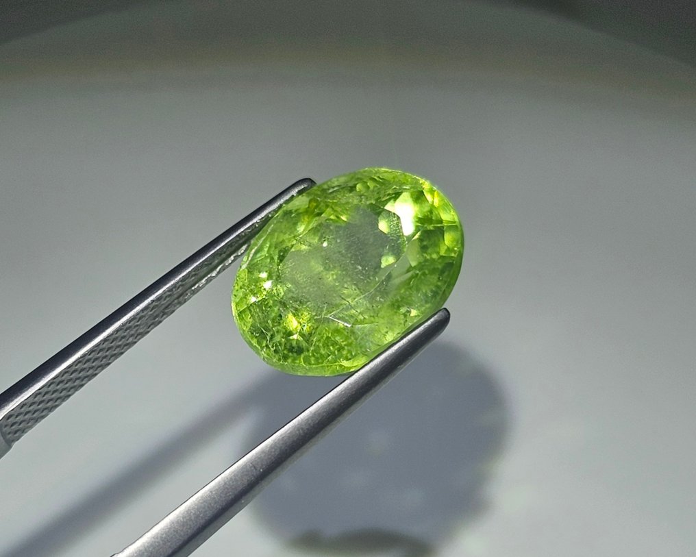 No Reserve Price - 1 pcs Yellow, Green Peridot - 7.22 ct - International Gemological Institute (IGI) #1.0