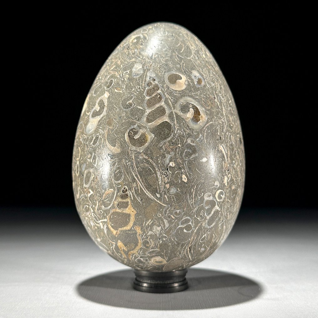 装饰饰品 (2) - NO RESERVE PRICE - Stunning Pair Crystal Quartz Sphere & Turritella Egg-Shaped on stands - 印度尼西亚 #2.1