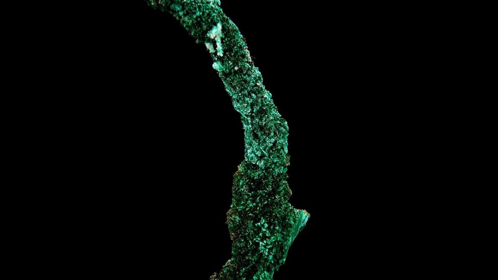 孔雀石钟乳（可能源自天然铜？） - Bou Nahas矿，Oumjrane，Anti-Atlas，摩洛哥 - 高度: 5.8 cm - 宽度: 1 cm- 6 g #2.1