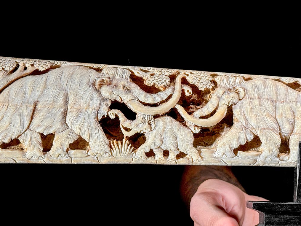 SIN PRECIO DE RESERVA - Rostro de pez espada extra grande en un soporte personalizado - Vida salvaje Rostrum - Xiphias Gladius - 13 cm - 81 cm - 6 cm- Especie no CITES - (1) #4.3