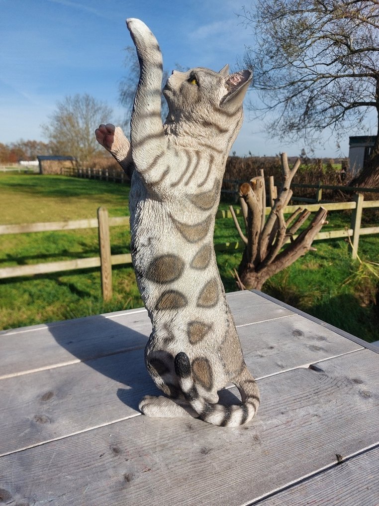 Statue, garden statue 50 cm high scratching cat - 50 cm - polyresin #1.0