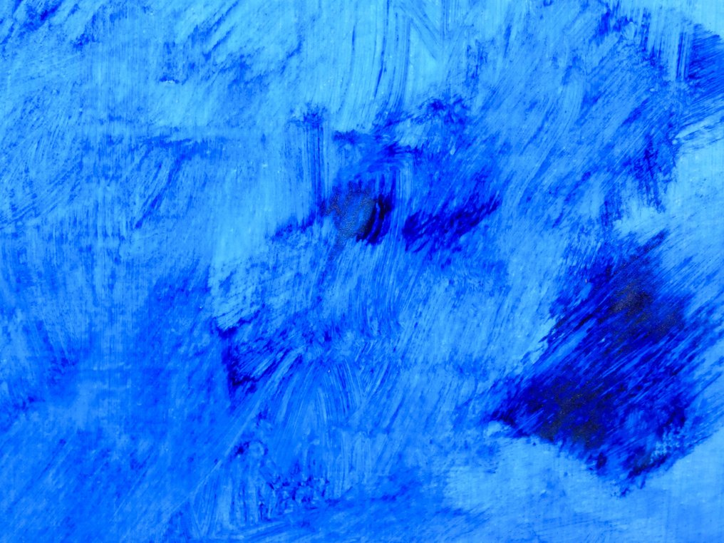 Nicolas VASSE - Le Bleu numéro 2 #4.3