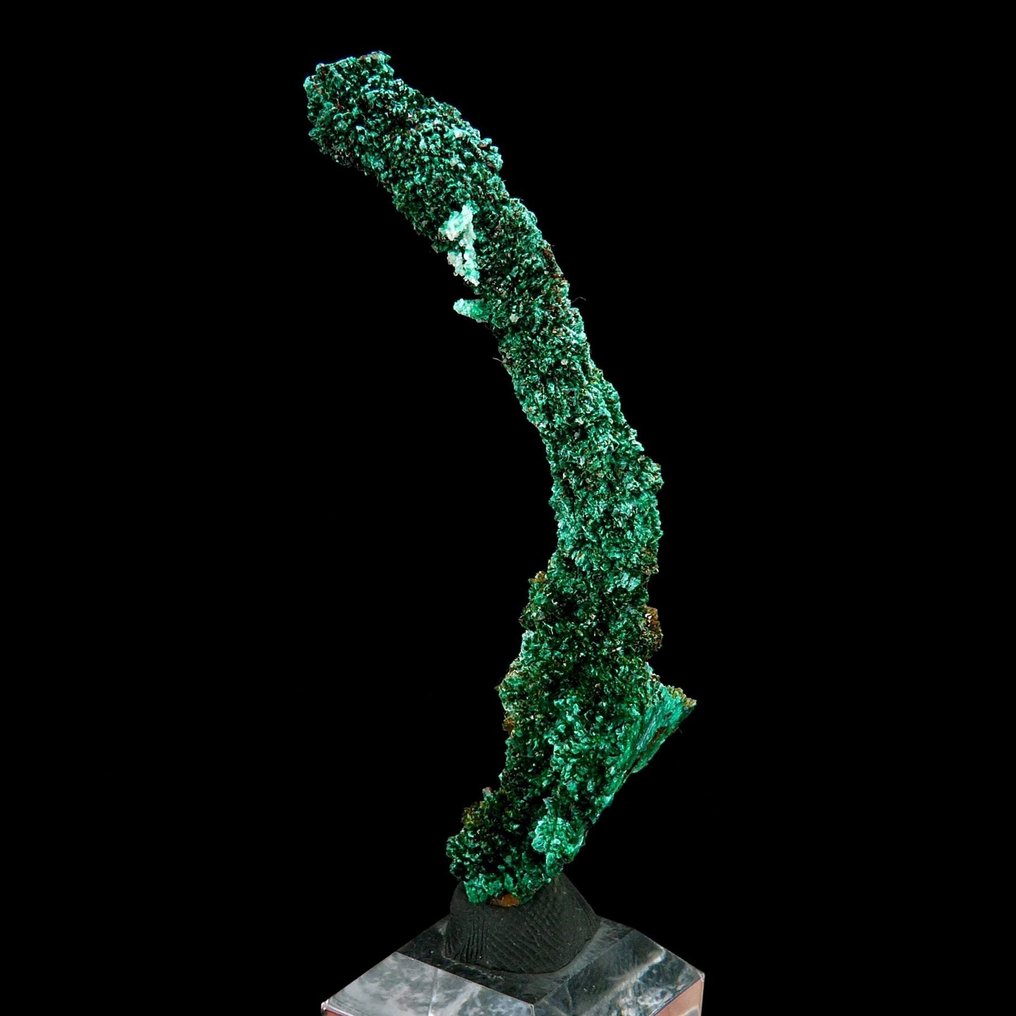 孔雀石钟乳（可能源自天然铜？） - Bou Nahas矿，Oumjrane，Anti-Atlas，摩洛哥 - 高度: 5.8 cm - 宽度: 1 cm- 6 g #1.0