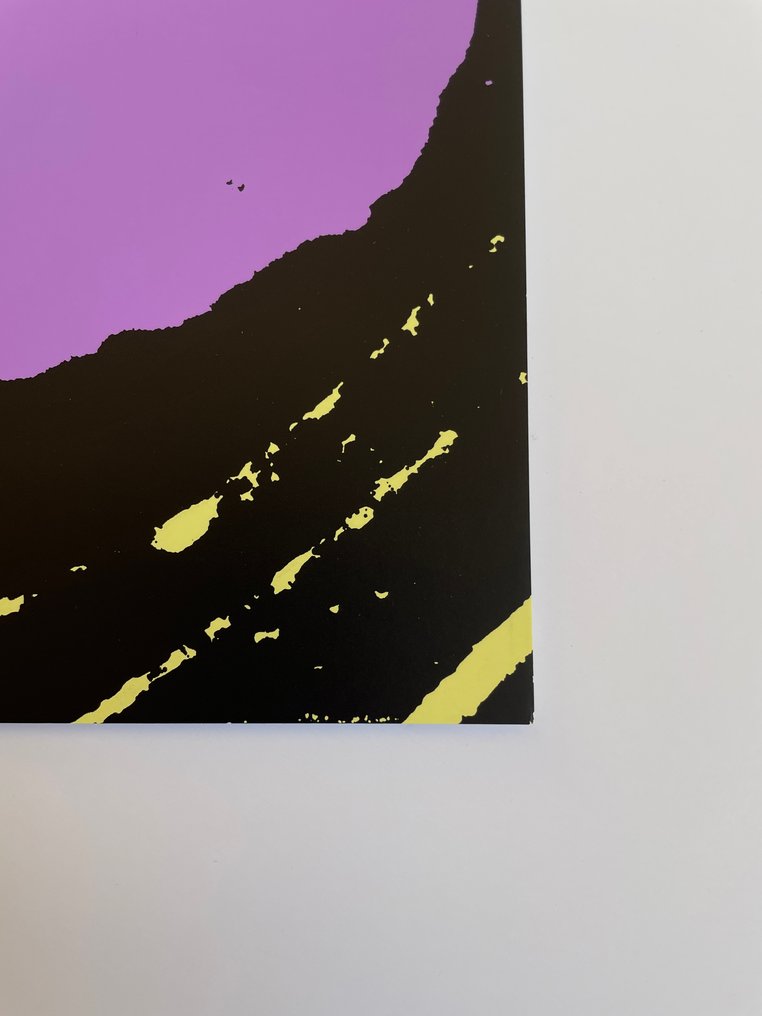 Andy Warhol (after) - Flowers 11.67 #3.2