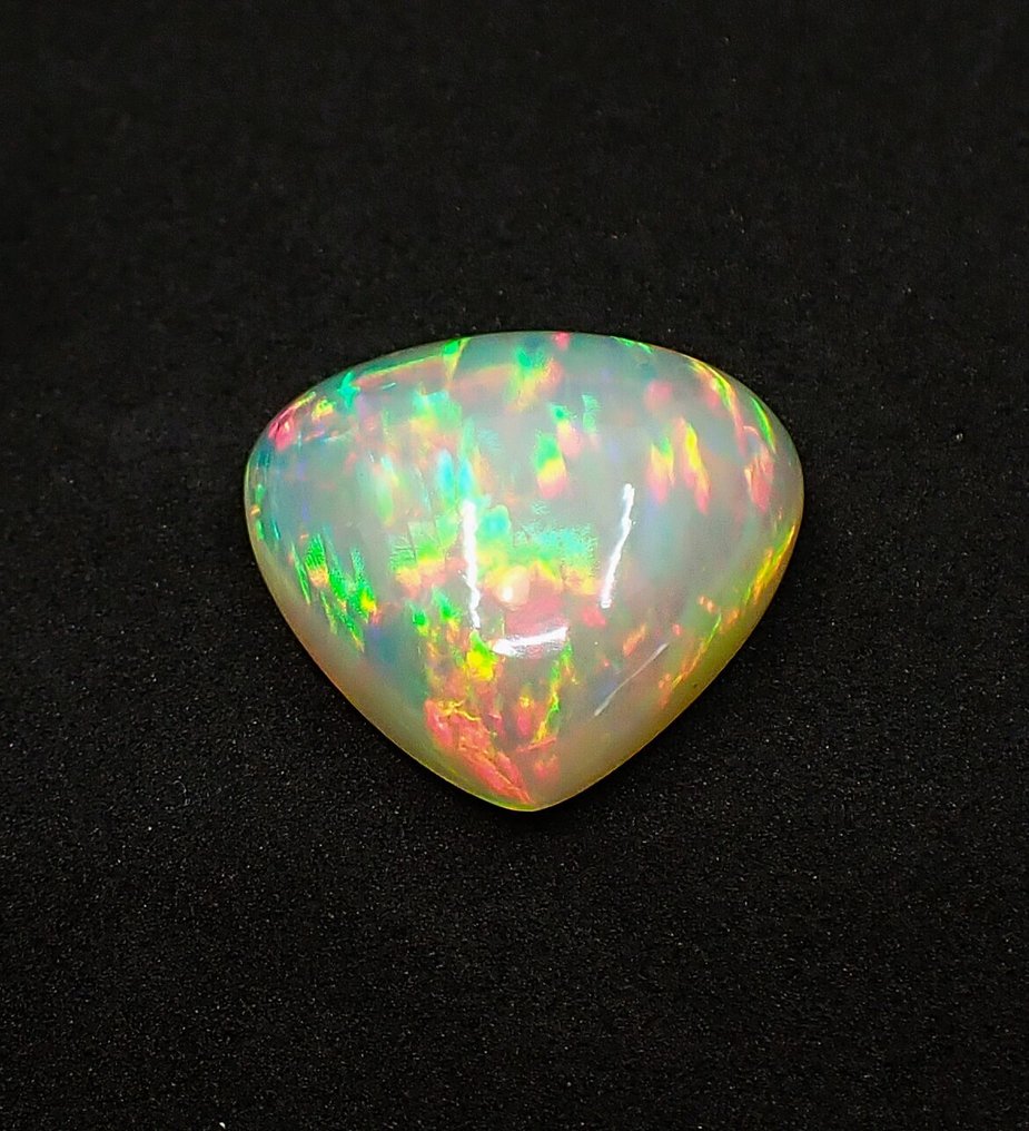 Multicolour Opal  - 17.65 ct - Antwerp Laboratory for Gemstone Testing (ALGT) - Fine Color Quality #3.2