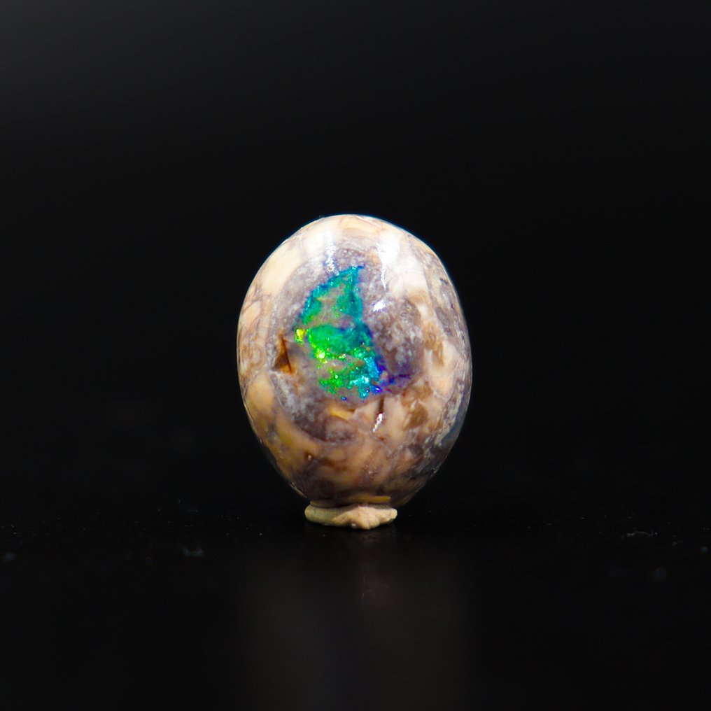 强烈的电光绿与深邃的蓝色光辉 墨西哥火焰欧泊 • 无底价 • 3.60克拉 - 高度: 11 mm - 宽度: 9 mm- 0.72 g - (1) #1.0