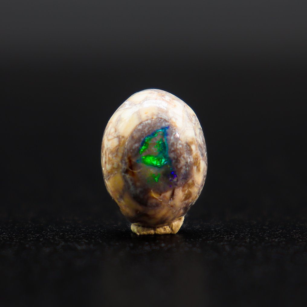 强烈的电光绿与深邃的蓝色光辉 墨西哥火焰欧泊 • 无底价 • 3.60克拉 - 高度: 11 mm - 宽度: 9 mm- 0.72 g - (1) #3.2