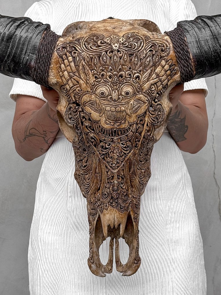 Sans prix de réserve - C - Tête de buffle d'eau sculptée grande et magnifique en brun - Motif Barong Crâne sculpté - Bubalus Bubalis - 61 cm - 86 cm - 22 cm- Espèces non-CITES - (1) #1.0