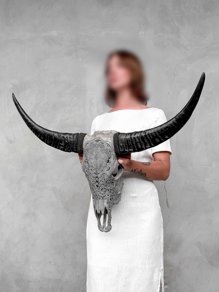 Sem preço de reserva - Cabeça de búfalo grande, esculpida à mão, autêntica, com motivo de mandala de Crânio esculpido - Bubalus Bubalis - 62 cm - 83 cm - 15 cm- Espéciesnão-CITES - (1) #3.2