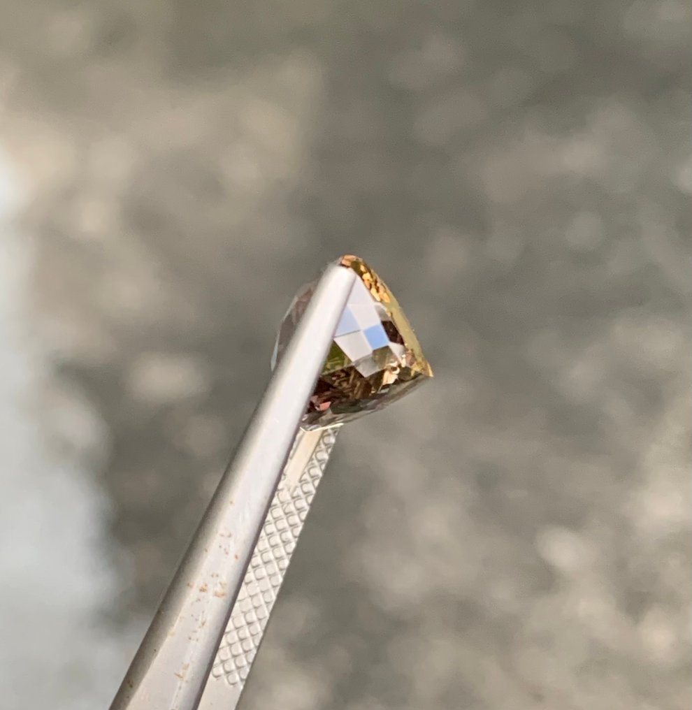 1 pcs 绿色, 双色 黝帘石 - 4.69 ct - 国际有色宝石协会(ICA GemLab) #3.2