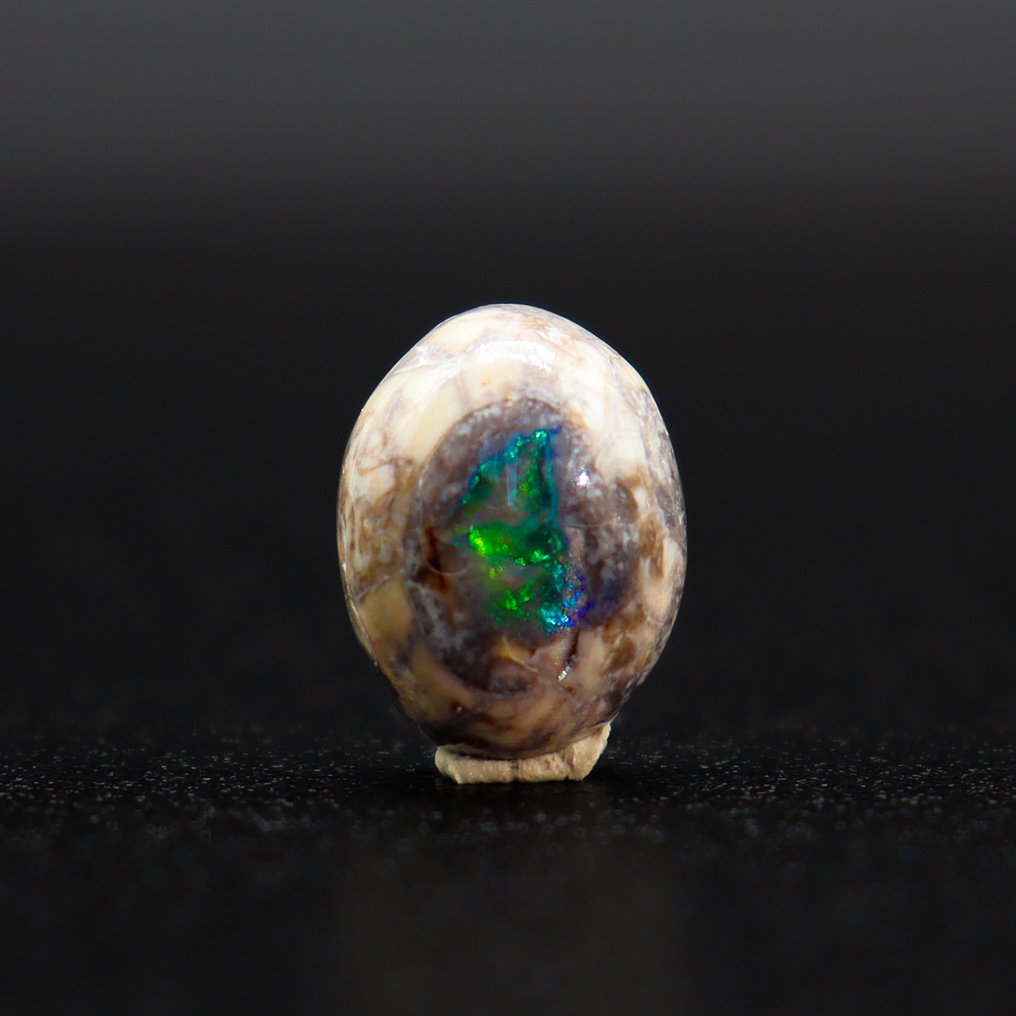 强烈的电光绿与深邃的蓝色光辉 墨西哥火焰欧泊 • 无底价 • 3.60克拉 - 高度: 11 mm - 宽度: 9 mm- 0.72 g - (1) #2.1