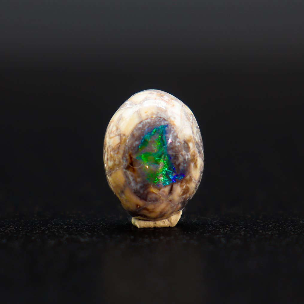 强烈的电光绿与深邃的蓝色光辉 墨西哥火焰欧泊 • 无底价 • 3.60克拉 - 高度: 11 mm - 宽度: 9 mm- 0.72 g - (1) #4.3