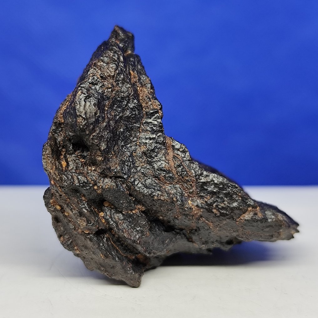 MESOSIDERITMETEORIT. MDEÏNÉ 001 (Mauretanien, 2021). Stein-Eisen-Meteorit. XL - 62.3 g #4.3