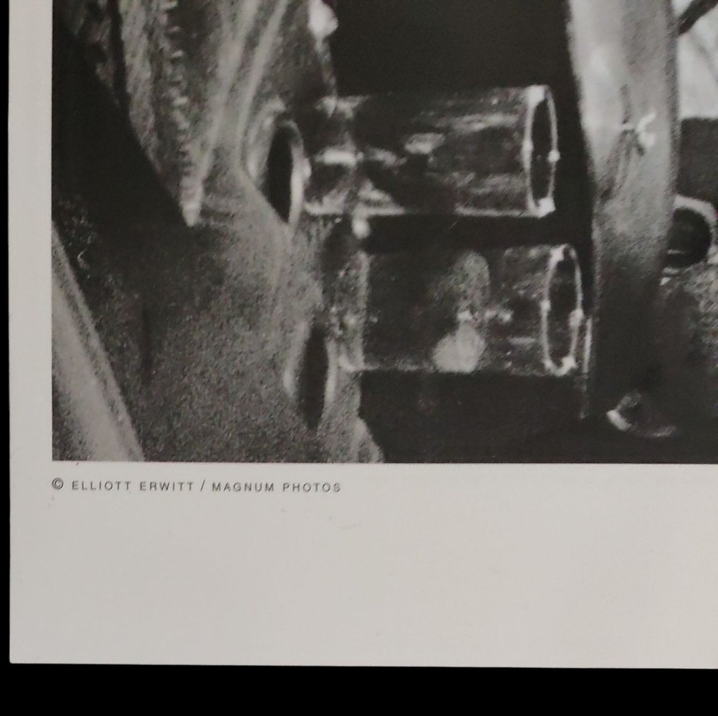 Elliott Erwitt (1928–2018) - Newport, Rhode Island, USA, 1954 #4.3