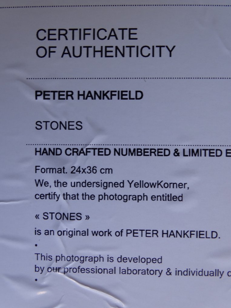 Peter Hankfield - Mick Jagger, Rolling Stones #4.3