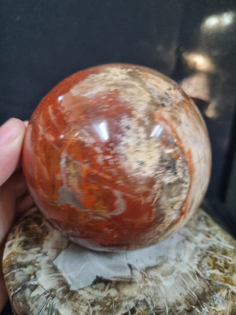 HQ - Big petrified wood sphere on stand Freeform - Height: 161 mm - Width: 130 mm- 3252 g #3.2