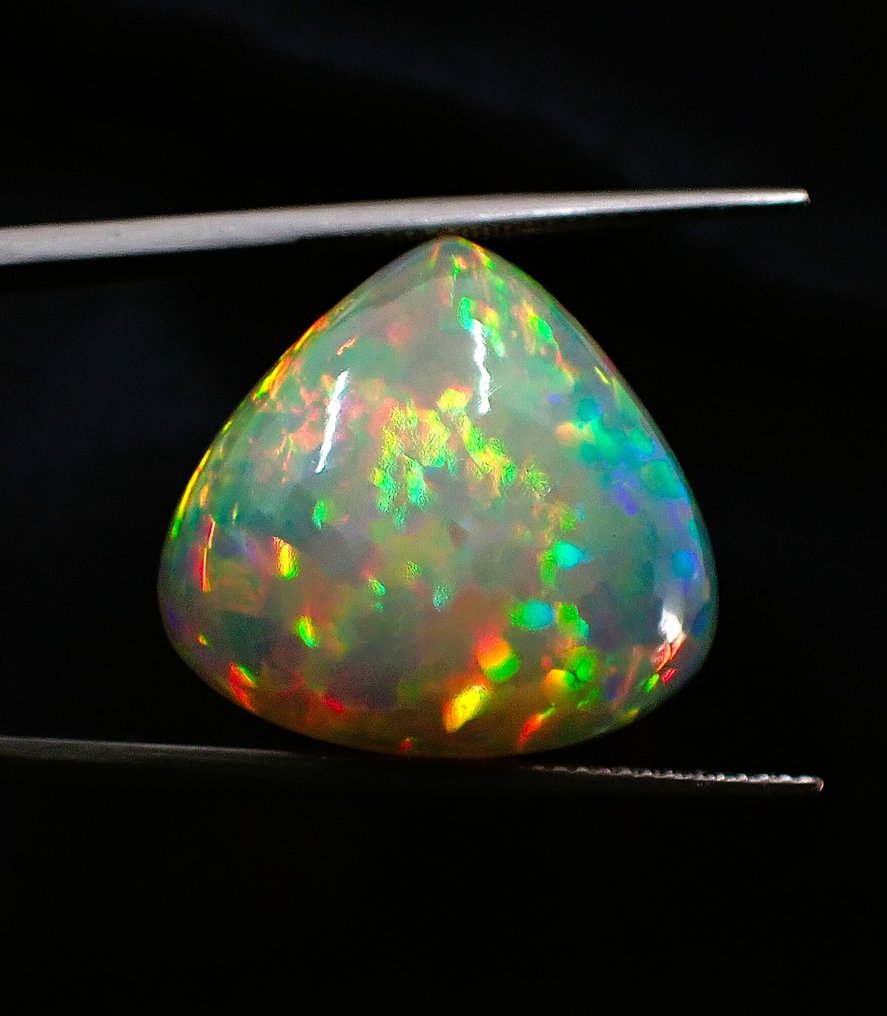 Multicolour Opal  - 17.65 ct - Antwerp Laboratory for Gemstone Testing (ALGT) - Fine Color Quality #4.3