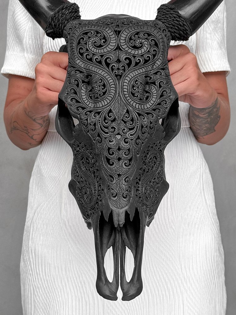 PAS DE PRIX DE RÉSERVE - Crâne de vache authentique sculpté en noir - Motif de feuille Crâne sculpté - Bos Taurus - 55 cm - 44 cm - 16 cm- Espèces non-CITES - (1) #1.0