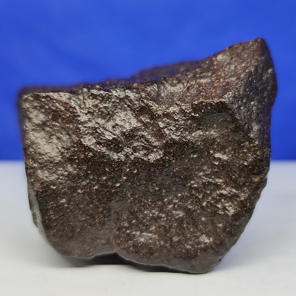 Only 1450 g in the world - Rare carbonaceous chondrite CO3. Meteorite NWA 14317 (New classification!) - 122.9 g #4.3