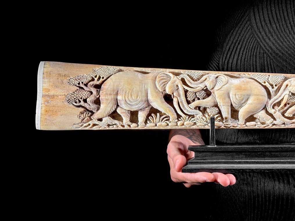 NO RESERVE PRICE - Stunning Large carved Swordfish Tusk - Elephants Motif - Rostrum - Xiphias Gladius - 15 cm - 82 cm - 6 cm- Non-CITES species - (1) #1.0