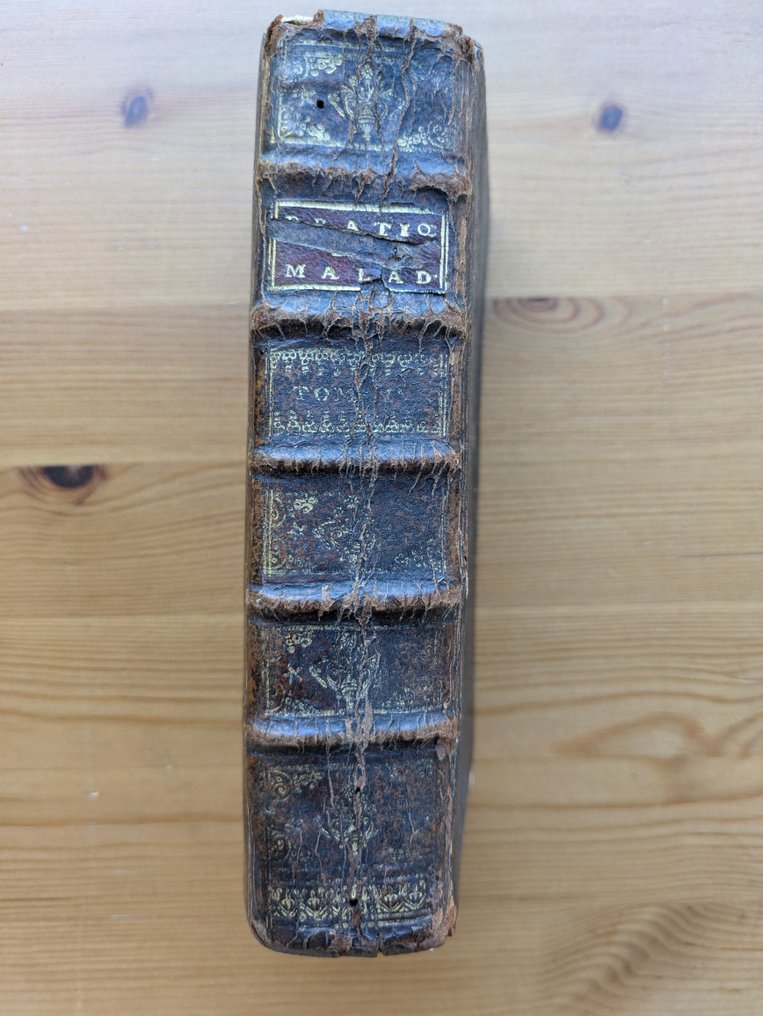 M. Tauvry - Pratique des Maladies Aigues et de toutes celles qui dependent de la fermentation des liqueurs - 1720 #3.2