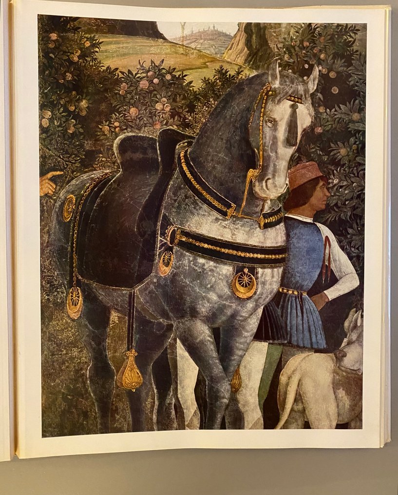 Luigi Coletti, E. Camesasca - La camera degli sposi del Mantegna a Mantova - 1959 #2.1